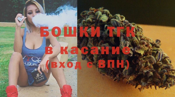сатива Богородск