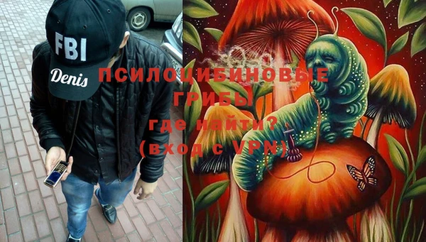 гашик Саяногорск