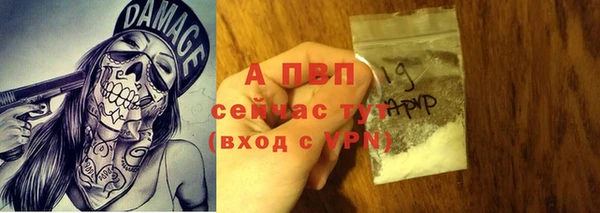 сатива Богородск