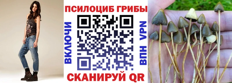 Псилоцибиновые грибы прущие грибы Кораблино